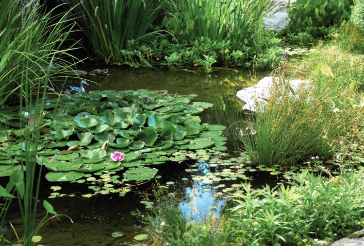 Paisajismo en Ezeiza